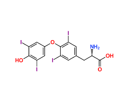 Image result for Thyroxine