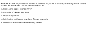 In Both Strands, Dna Is Synthesized In 5' To 3' Direction But Lagging Or  Okazaki Fragments Explain Its Synthesis In 3' To 5' Direction. Wha Is The  Meaning Of This Line?