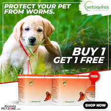 I sent a courier through ubt international courier service via online from india to canada and must say they provide very good service at very minimum we are one stop solution for all courier service needs for shipping your household items, documents, parcels, excess baggage, corporate sample. Pet Courier Service In India The Y Guide