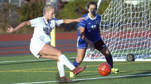 High school girls soccer: 2017 all-league teams