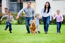 Furthermore, there are generally a few concrete conclusions veterinarians can make when it comes to. Canine Lymphoma Life Expectancy Caninelymphoma Com