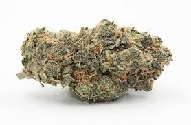 Killer cookies cannabis strain by medcats is an evenly balanced hybrid. Buy Nitro Cookies Online Greenrush Delivery