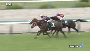 The naruo kinen (in japanese: é³´å°¾è¨˜å¿µ2021 å‡ºèµ°äºˆå®šé¦¬ äºˆæƒ³ã‚ªãƒƒã‚º é¨Žæ‰‹ æ··æˆ¦ã‚'æŠœã'å‡ºã›