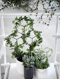 Tuteur Pov Medium Menu Blanc Made In Design Indoor Vines Plant Decor Hanging Plants