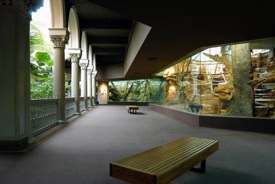 Saint Louis Zoo | Primate House