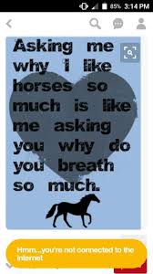 My Friends Ask Me Why I Like Horses So Much And I Say Because Horses Are My Life They Say You Can Inspirational Horse Quotes Horse Quotes Horse Riding Quotes