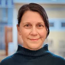 Public health faculty