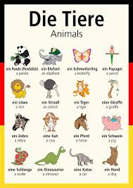 A3 German Poster Teaching Aid Classroom Resources Animals Die Tiere Not Laminated Folded To A4 In 2020 Book Editing Book Editor Career Proofreading Checklist