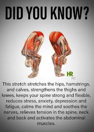 And of course, while these options have their place in serious, advanced cases, what options are there for. Pin By Sarah Simone On Health Fitness How To Do Yoga Workout Programs Fun Workouts