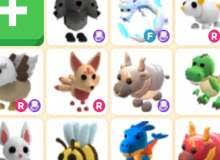 ( great ) roblox adopt me codes 2020 not expired apply & get. Which Adopt Me Pet Are You