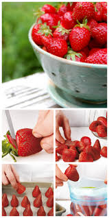 Comment Congeler Des Fraises Coup De Pouce Food Lover Baby Food Recipes Traditional French Recipes