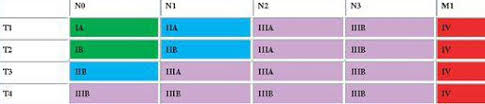 This stage is divided into three substages, a, b, and c: Tnm And Staging Of Lung Cancer Simplified Epomedicine