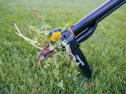 Rent a power dethatching machine such as a vertical mower (power rake) or core aerator from your local hardware rental center. How To Maintain A Healthy Weed Free Lawn How Tos Diy