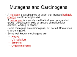 What Do The Following Things Have In Common Ppt Download