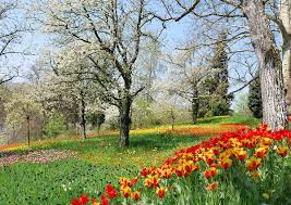 Der frühling oder lenz, auch das frühjahr genannt, ist eine der vier jahreszeiten und folgt auf den winter. Fruhling Wiktionary