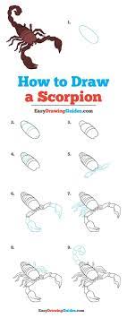 How To Draw A Scorpion Really Easy Drawing Tutorial Drawing Tutorial Easy Drawing Tutorial Easy Drawings