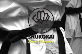 Australianshukoka Learn Karate With The Best Australian Shukokai Karate Dandenong Vic Success Breed S Success