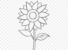Sunflower plant clipart, hand drawn watercolor stock illustration. Drawing Common Sunflower Line Art Sketch Png 678x600px Drawing Art Artwork Black And White Coloring Book