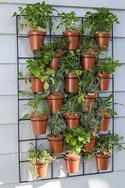 Krauter Auf Dem Balkon Pflanzen Wie Legt Man Einen Krautergarten An Jardins Pequenos Jardim Vertical Minijardins