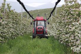 Profile for European Union-GAIA Armenia