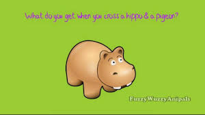 A Cute One Liner Joke For Kids About A Pig And A Pigeon Jokes For Kids One Liner Jokes Jokes