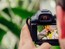 We did not find results for: Photo Tips How To Take Better Photos While Travelling