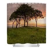 Trees Huddled At Sunset by Danny Birrell Photography