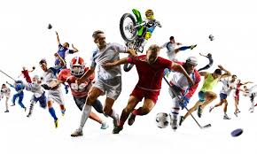 Dear customers, please make a complete and accurate information, this will save your and our time. Sports Medicine Proliance Orthopedic