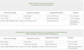 Why lay sod in winter? Arizona California Sod Watering Guidelines