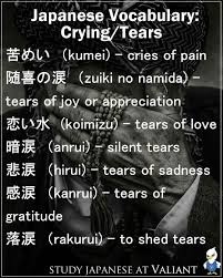 Cemaynur Sahin Adli Kullanicinin Nihongo Panosundaki Pin Japonca