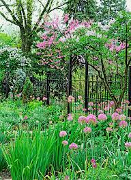 Cast iron plants can be sourced from your local nursery or, if you have the right connections, you can obtain some rhizome divisions from a friend, family member, or neighbor. All About Metal Fences This Old House