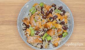 I suggest browsing my candida diet. Fresh Dog Food Recipe A Vegan Option