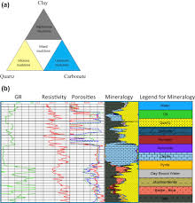 Wireline Log Signatures Of Organic Matter And Lithofacies