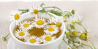 We did not find results for: 7 Manfaat Teh Lavender Untuk Kesehatan Atasi Insomnia Hingga Cegah Stres Merdeka Com