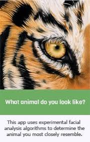 What's your lifestyle?, someone comes to you looking to start a fight, what do you do?, if someone were to drop a one dollar bill in front of you, but they didn't notice, what would you do? What Animal Do You Look Like Inicio Facebook