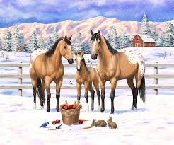 See more ideas about native american clothing, buckskins, moccasin pattern. Buckskin Appaloosa Horses In Snow Painting By Crista Forest