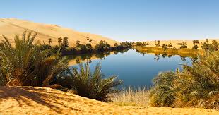 Image result for sahara desert