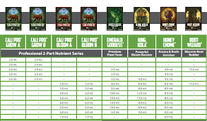 Essential Guidelines For A Perfect Nutrient Feeding Schedule