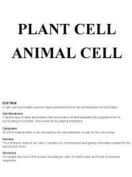 Maybe you would like to learn more about one of these? Plant Cell Pdf