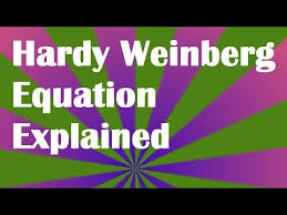 This might seem impossible but with our highly skilled professional writers all your custom essays, book reviews, research papers and other custom tasks you order with us will be of high quality. Explore Biology Hardy Weinberg Lab Answers Hardy Weinberg Equilibrium