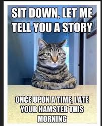 Fred Jim Gracie Gang On Twitter Cat Quotes Funny Funny Animal Pictures Funny Cat Pictures
