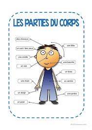 Les Parties Du Corps En 2020 Partie Du Corps Apprendre Le Francais Corps