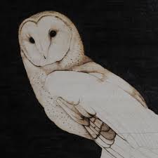 Check spelling or type a new query. The Barn Owl Pyrography Wood Burning Pyrography Made Easy