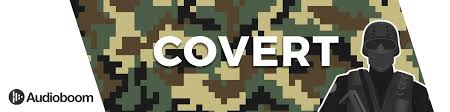 نتیجه جستجوی لغت [covert] در گوگل