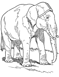 Click on the image you want to color, this will open page displaying large picture you selected. Free Elephant Coloring Page Printable The Graphics Fairy