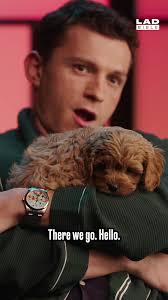 Trainer Holland Popelt