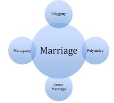 The emotive component of meaning may have its linguistic expression with the help of suffixes of diminutiveness. Types Of Marriage Meaning And Types Of Marriage Forms Of Marriage Marriage Types Different Type Of Marriage