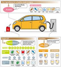 The Role Of Nutrients And Nutrient Consumption Otsuka