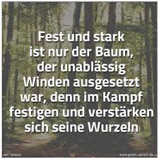 Spruch Fest Und Stark Ist Nur Der Baum Der Un Und Weitere Spruche Zitate Und Weisheiten Gratis Spruch De
