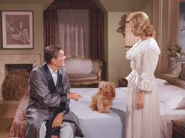 What To Love About The Bewitched House Bewitching Elizabeth Montgomery Bewitched Tv Show